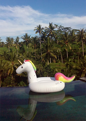 Two Bedroom Family Pool Villa